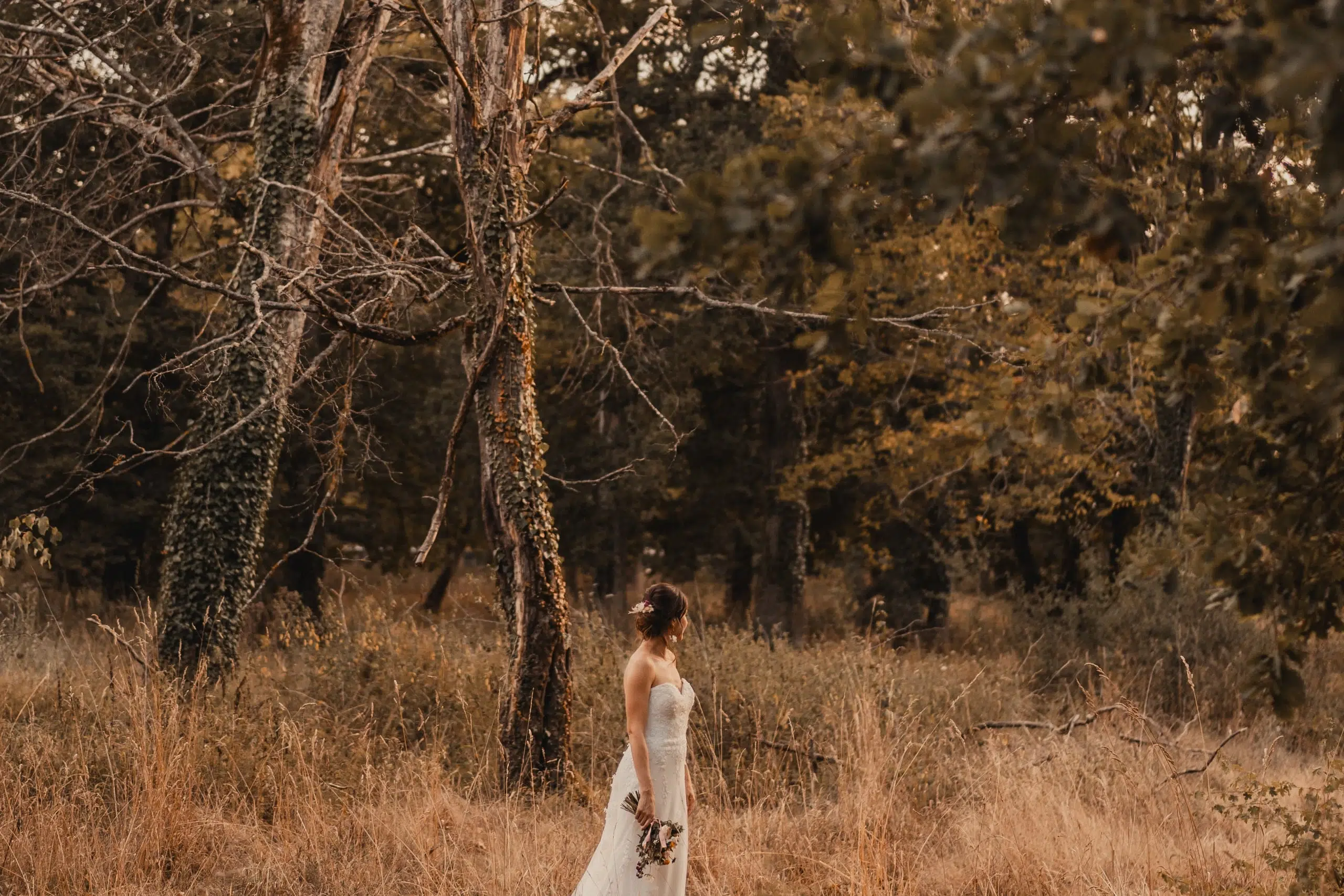 Mariage d’Audrey et Jérôme au Poney Parc - Blodelsheim, Haut-Rhin, Alsace